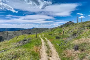 300 Shining Star Trail, Boulder, CO 80302 - Photo 9