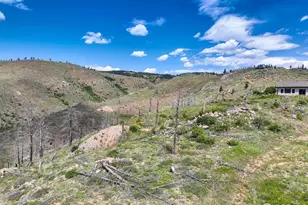 300 Shining Star Trail, Boulder, CO 80302 - Photo 19