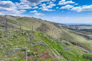 300 Shining Star Trail, Boulder, CO 80302 - Photo 15