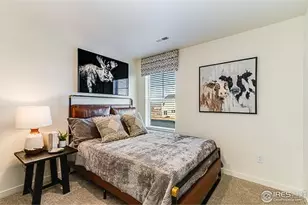 830 Trumpet Ln, Windsor, CO 80550 - Photo 21