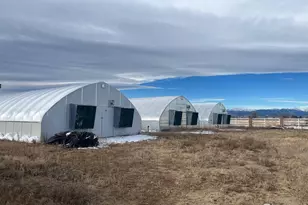 13781 N 115th St, Longmont, CO 80504 - Photo 15