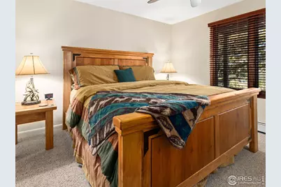 1433 Vista View Ln, Estes Park, CO 80517 - Photo 27