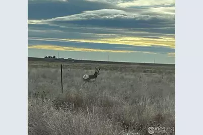 58736 County Road 23, Carr, CO 80612 - Photo 45