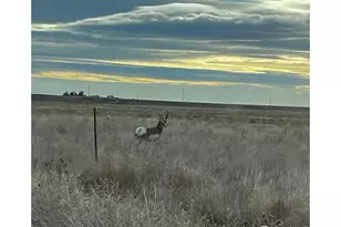 58736 Co Rd 23, Carr, CO 80612 - Photo 45