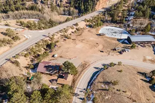 993 Hwy 7 Business, Allenspark, CO 80510 - Photo 49