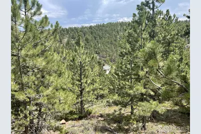 416 Comanche Cir, Red Feather Lakes, CO 80545 - Photo 19