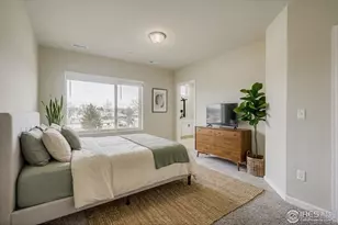 1003 Schlagel St, Fort Collins, CO 80524 - Photo 11