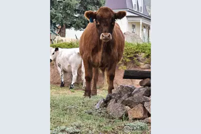 430 S 4th St S, Victor, CO 80860 - Photo 21