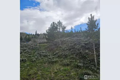 Roosevelt, Hot Sulphur Springs, CO 80451 - Photo 7