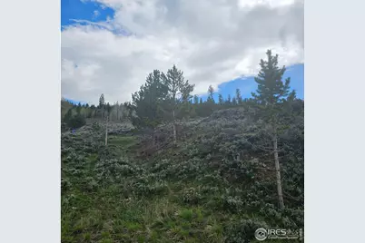 Roosevelt, Hot Sulphur Springs, CO 80451 - Photo 9