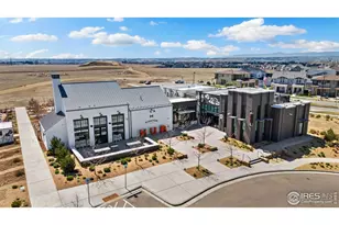 2486 White Pelican Ave, Loveland, CO 80538 - Photo 25
