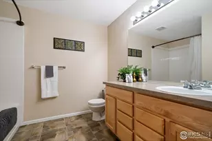 2814 Golden Wheat Ln, Fort Collins, CO 80528 - Photo 27