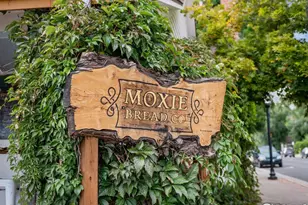 518 W Cactus Ct, Louisville, CO 80027 - Photo 37