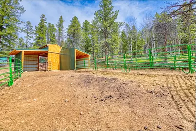 1447 Coyote Cir, Black Hawk, CO 80422 - Photo 39