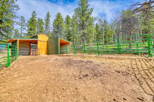 1447 Coyote Cir, Black Hawk, CO 80422 - Photo 39