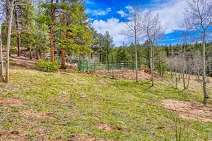 1447 Coyote Cir, Black Hawk, CO 80422 - Photo 41