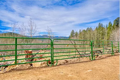 1447 Coyote Cir, Black Hawk, CO 80422 - Photo 41