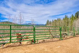 1447 Coyote Cir, Black Hawk, CO 80422 - Photo 41