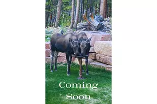 1447 Coyote Cir, Black Hawk, CO 80422 - Photo 1