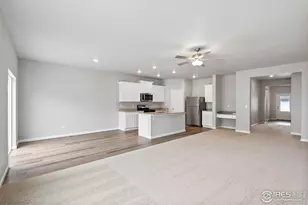 967 Cascade Falls St, Severance, CO 80550 - Photo 9