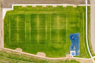 967 Cascade Falls St, Severance, CO 80550 - Photo 33