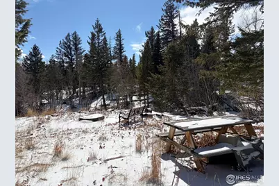 171 Spokane Ct, Red Feather Lakes, CO 80545 - Photo 11