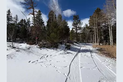 171 Spokane Ct, Red Feather Lakes, CO 80545 - Photo 13