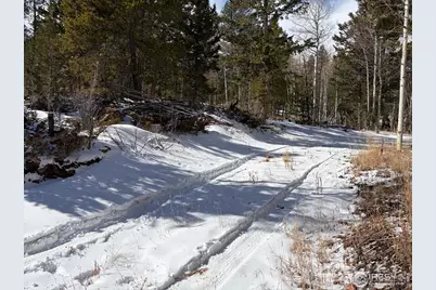 171 Spokane Ct, Red Feather Lakes, CO 80545 - Photo 37