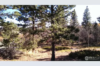 171 Spokane Ct, Red Feather Lakes, CO 80545 - Photo 25