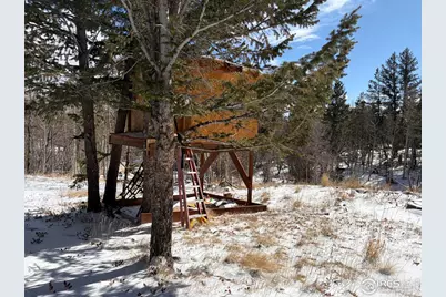 171 Spokane Ct, Red Feather Lakes, CO 80545 - Photo 5