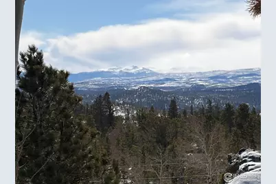 171 Spokane Ct, Red Feather Lakes, CO 80545 - Photo 41