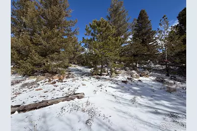 171 Spokane Ct, Red Feather Lakes, CO 80545 - Photo 21