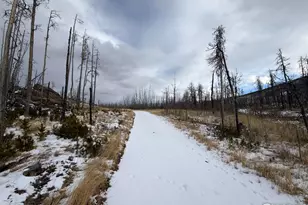 2025 Granite Rd, Bellvue, CO 80512 - Photo 1