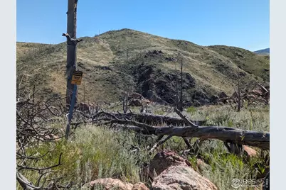 1360 Meadow Mountain Dr, Livermore, CO 80536 - Photo 5