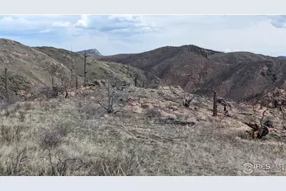 1360 Meadow Mountain Dr, Livermore, CO 80536 - Photo 13