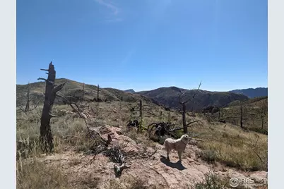 1360 Meadow Mountain Dr, Livermore, CO 80536 - Photo 3