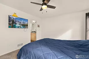 1813 Garden Flourish Ct, Windsor, CO 80550 - Photo 15