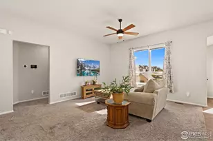 1813 Garden Flourish Ct, Windsor, CO 80550 - Photo 7