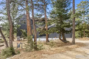 14 Sundown Trail, Nederland, CO 80466 - Photo 3