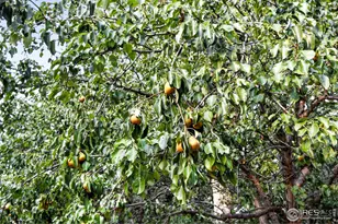 2020 Diamond Dr, Longmont, CO 80504 - Photo 45