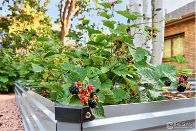 2020 Diamond Dr, Longmont, CO 80504 - Photo 45