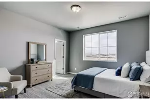 662 Noola St, Windsor, CO 80550 - Photo 15