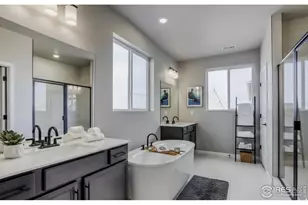 662 Noola St, Windsor, CO 80550 - Photo 13