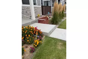 1163 Smt Vis Dr, Berthoud, CO 80513 - Photo 3