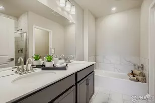 1003 Schlagel St, Fort Collins, CO 80524 - Photo 9