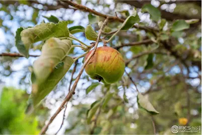 1023 Edmunds St, Brush, CO 80723 - Photo 21