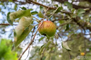 1023 Edmunds St, Brush, CO 80723 - Photo 21