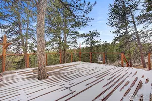 88 Munsee Ct, Red Feather Lakes, CO 80545 - Photo 31