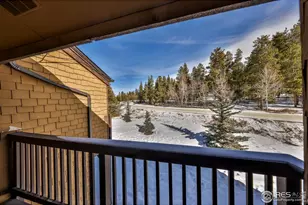 444 Co Rd 832, Fraser, CO 80442 - Photo 17