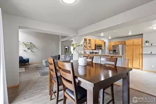 7009 Egyptian Dr, Fort Collins, CO 80525 - Photo 11